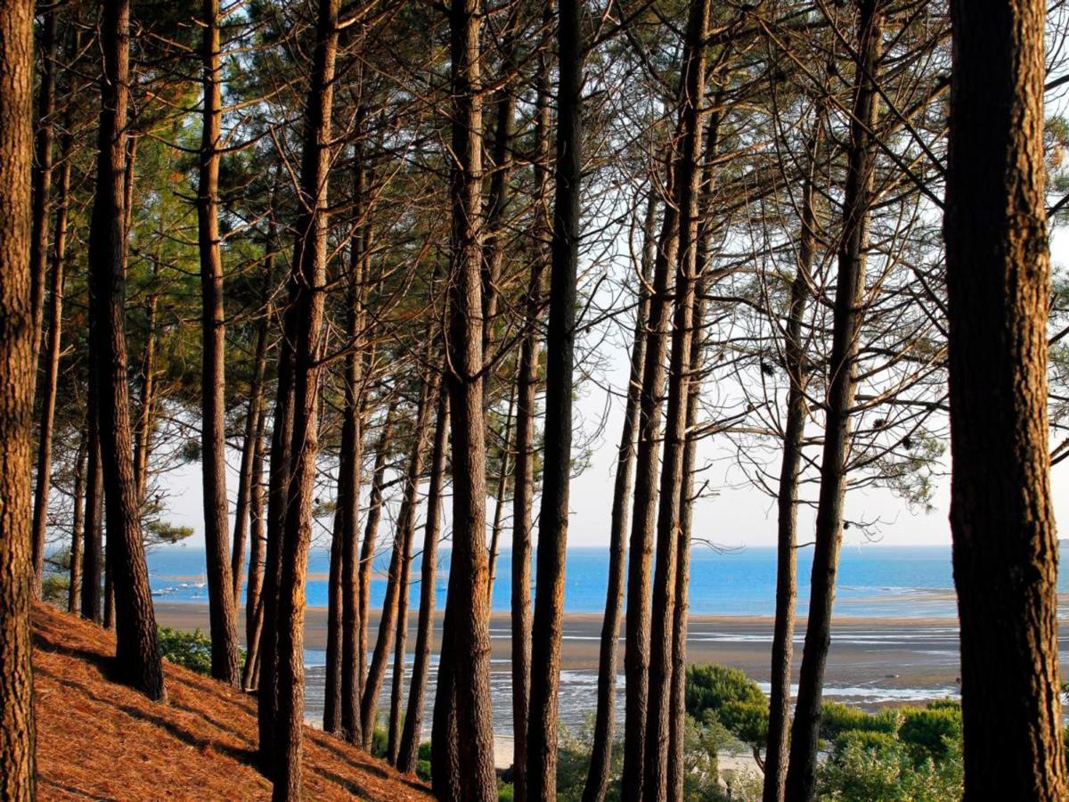 Arcachon Centre : Charmant T2 Avec Loggia, Parking Securise Et Proche Plage - Fr-1-420-61 Εξωτερικό φωτογραφία